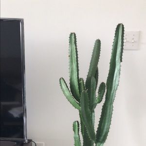 Meet your Posher, Elaine